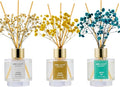 Reed Diffuser Set of 3,Clean Cotton White Jasmine White Tea Oil Reed Diffusers for Bedroom Living Room Office Aromatherapy Oil Reed Diffuser for Gift 50ml x 3