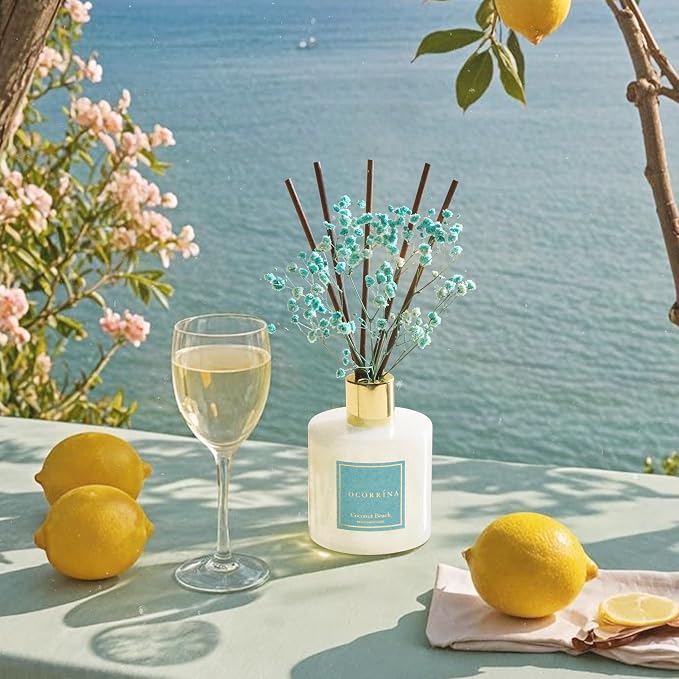 Reed Diffuser - Coconut Beach 6.7 fl oz Reed Diffuser with Sticks, Home Bedrrom Bathroom Shelf Decor