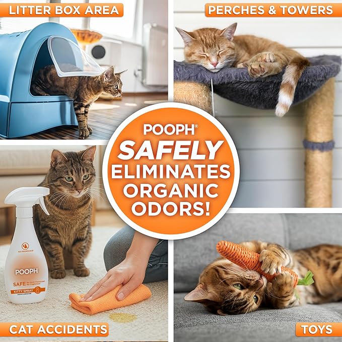 POOPH Pet Odor Eliminator and Litter Box Deodorizer - 2x32oz Bottles - Instant, Safe, Fragrance-Free, Clear, Non-Staining, Unscented