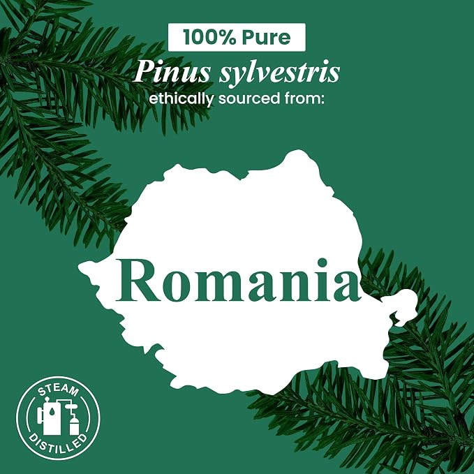 Handcraft Blends Pine Essential Oil – 1 Fl Oz – 100% Pure and Natural – Premium Grade Essential Oil for Diffuser and Aromatherapy, Skin, Massage, Candle and Soap Making Fragrance