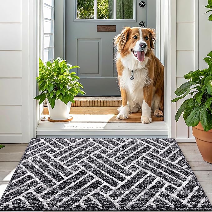 OLANLY Indoor Door Mat, 36x24 Inch, Dirt Resistant and Absorbent, Non-Slip Rubber Backing Floor Mats, Easy Clean Low-Profile Doormat for Entryway, Front Door, and Inside Entrance, Black