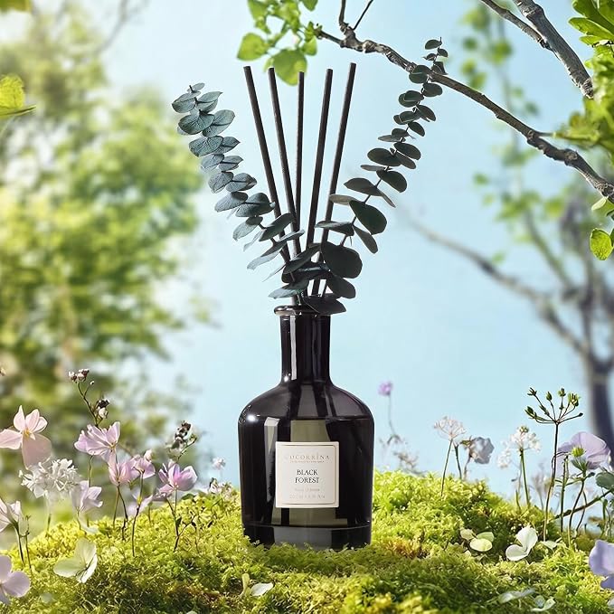 Black Forest Reed Diffuser, 6.76 oz | Real Dried Eucalyptus Leaves, 8 Reeds, Long-Lasting Essential Oil, Home Fragrance, Bedroom or Bathroom Décor