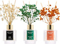 Reed Diffuser Set of 3, Black Forest Eucalyptus Moss Citrus Oil Reed Diffusers for Bedroom Living Room Office Aromatherapy Oil Reed Diffuser for Gift 50ml