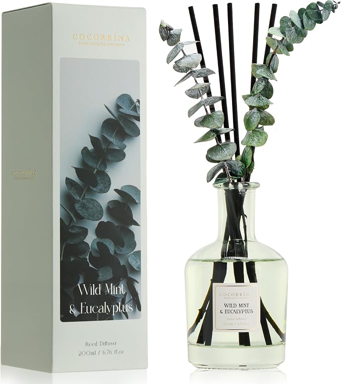 Wild Mint & Eucalyptus Reed Diffuser, 6.76 oz | Real Dried Eucalyptus Leaves, 8 Reeds, Long-Lasting Essential Oil, Home Fragrance, Bedroom or Bathroom Décor