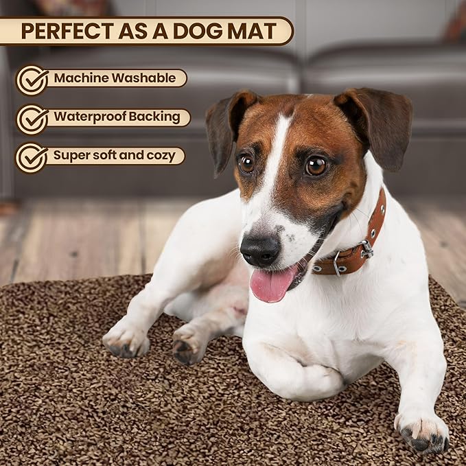 Premium Microfiber Indoor Door Mat – 32"x48" Washable Entry Mat, Non-Slip, Waterproof Backing, Super Absorbent, Low Profile Entryway Doormat for Indoor Entrance
