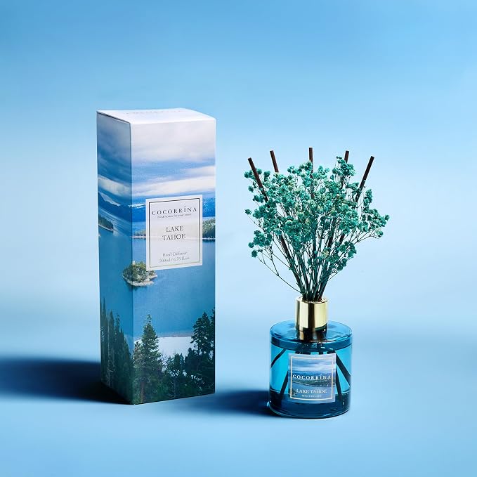 Reed Diffuser - Lake Tahoe 6.7 Fl.oz Reed Diffuser Set with 8 Sticks & Preserved Baby's Breath, Reed Diffuser for Home Bathroom Shelf Decor