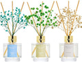 Reed Diffuser Set of 3, Jasmine Mint Gardenia Freesia Pear Oil Reed Diffusers for Bedroom Living Room Office Aromatherapy Oil Reed Diffuser for Gift 50ml x 3