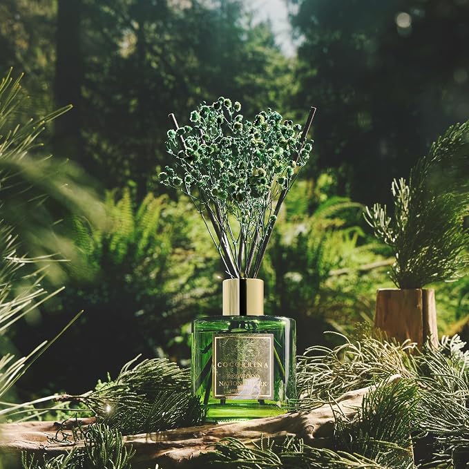 Reed Diffuser - Redwood National Park 6.7 Fl.oz Reed Diffuser Set with 8 Sticks & Preserved Baby's Breath, Reed Diffuser for Home Bathroom Shelf Decor