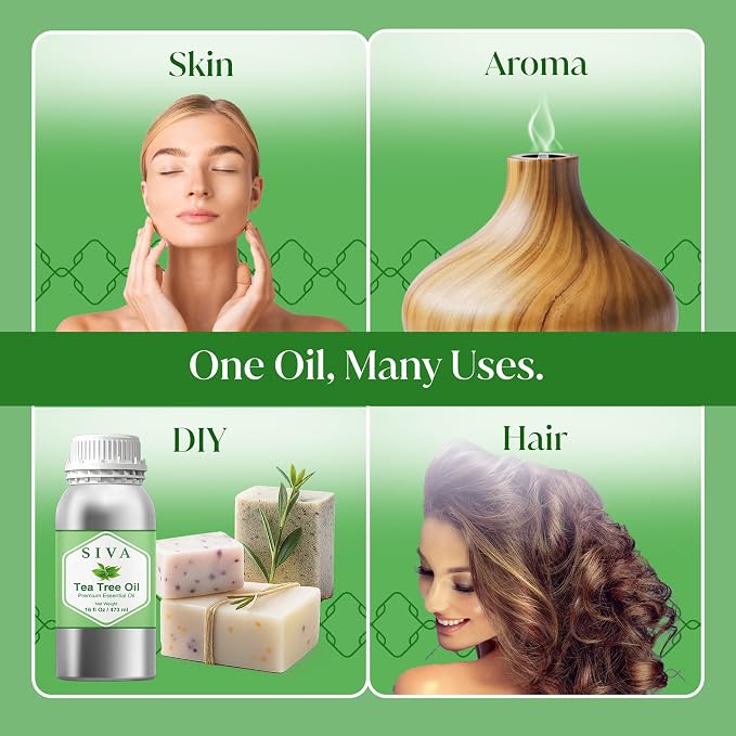 Siva Tea Tree Essential Oil, Huge Bottle, Large Size, 16 Fl Oz (473 ml) | Tea Tree Oil for Hair Care, Scalp Care, Face Care, Skin Care, Nail Care, Diffuser, Humidifier, Soap Making & DIY Blending