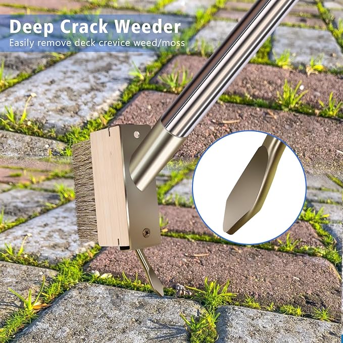 Moss Remover Brush Tool with 65in Handle for Concrete Pavers Crevice | 2 Pcs Wire Grout Brush Head, Detachable Long Handle, Crack Weeder Puller for Outdoor Deck Patios Walkways Roof Moss Removal