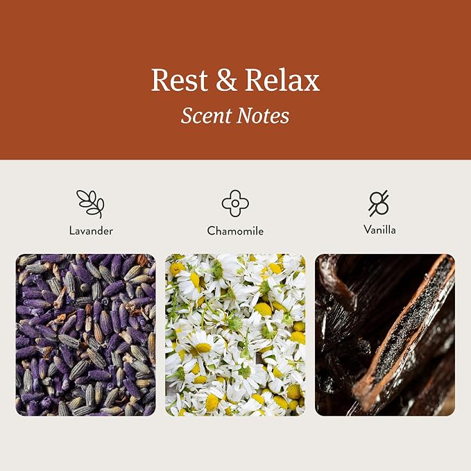 Drift Home Scent Diffuser Refills in Rest & Relax (2 Refills) - Adjustable and Long Lasting Diffuser Aroma - Clean Ingredients, Pet Safe, Device Not Included