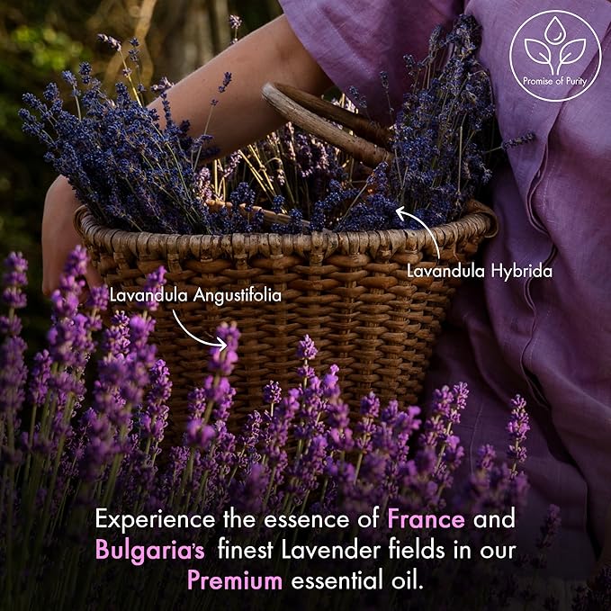 Majestic Pure Lavender Essential Oil for Diffuser - 1 Fl Oz | 100% Natural Essentials Oils Ideal for Relaxing Tense Mood, Eliminating Odor, Creating Peaceful Atmosphere for Sleep & Work