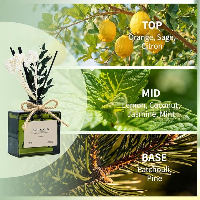 Reed Diffuser, 6.1 oz Citrus Mint Scent Diffuser with Sticks & Dried Flowers, 120 Days Long Lasting diffusers for Home, Elegant Fragrance for Bathroom Bedroom Office Decor Air Fresh