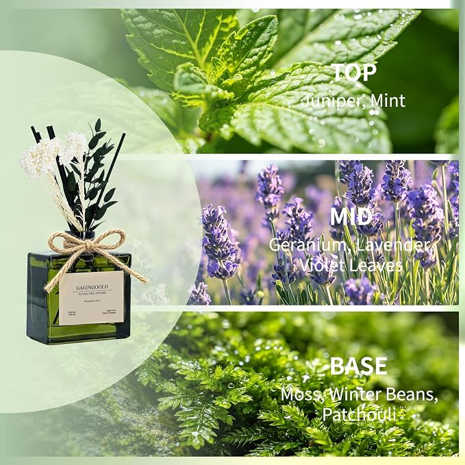 Reed Diffuser, 6.1 oz Eucalyptus Mint Scent Diffuser with Sticks & Dried Flowers, 120 Days Long Lasting diffusers for Home, Elegant Fragrance for Bathroom Bedroom Office Decor Air Fresh