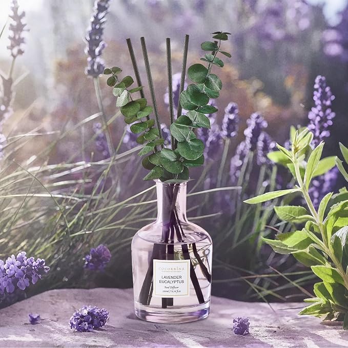Lavender Eucalyptus Reed Diffuser, 6.76 oz | Real Dried Eucalyptus Leaves, 8 Reeds, Long-Lasting Essential Oil, Home Fragrance, Bedroom or Bathroom Décor