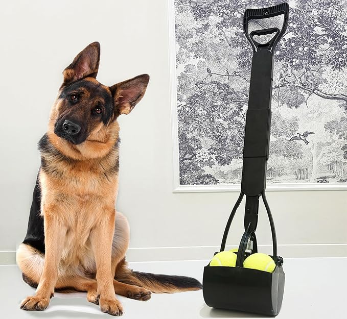 2-Pack Pooper Scooper for Large Small Dogs Heavy Duty, 32" Long Handle Poop Scoops for Yard, Grass, Gravel, Dog Poop Grabber with High Strength Material and Durable Spring（Green&Black）