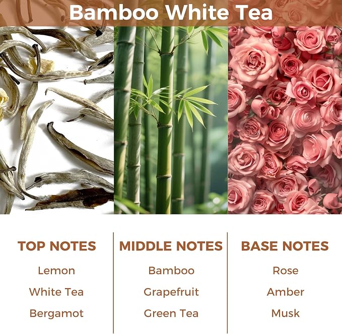 Bamboo White Tea Reed Diffuser Set,3.38 fl.oz(100ml) | Oil Diffuser with 6 Reed Sticks,Long-Lasting Home Fragrance for Living Room,Bedroom,Bathroom,Office