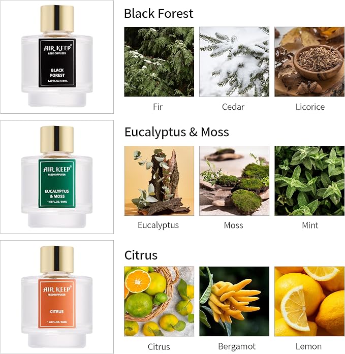 Reed Diffuser Set of 3, Black Forest Eucalyptus Moss Citrus Oil Reed Diffusers for Bedroom Living Room Office Aromatherapy Oil Reed Diffuser for Gift 50ml
