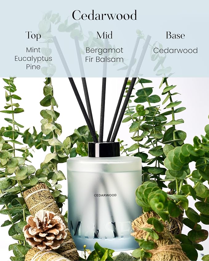 M&SENSE Reed Diffuser Set, Cedarwood, 17 oz Natural Essential Oil | Non-Toxic Organic, Long-Lasting Fragrance, Ideal for Living Room, Study, Gifts for Women