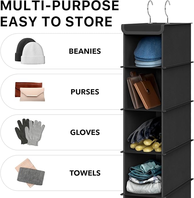 Simple Houseware 2 Pack 10 Shelves Hanging Shoe Organizer, Black | Dual Metal Hooks, Holds Up to 20 lbs, for Narrow Space