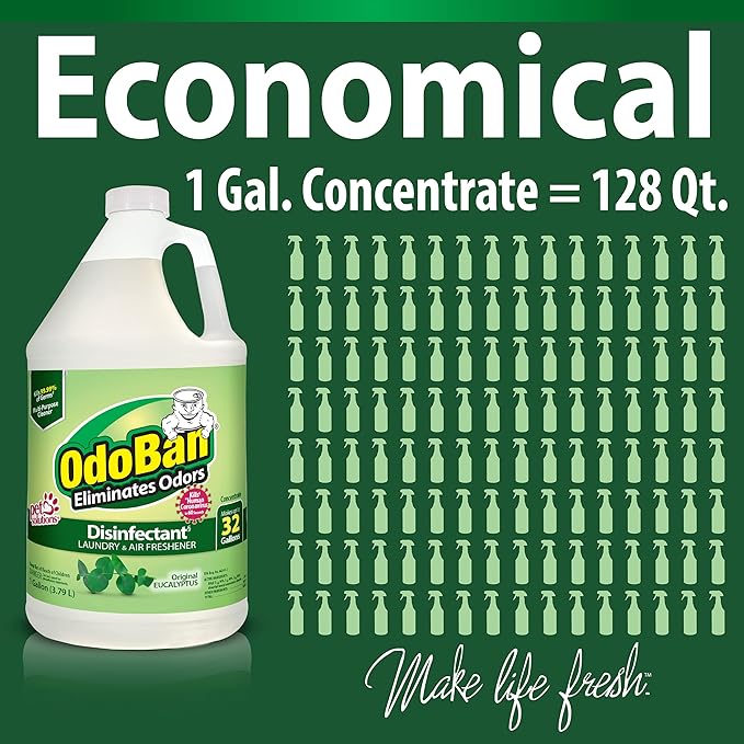 OdoBan Disinfectant Odor Eliminator and All Purpose Cleaner Concentrate, Original Eucalyptus Scent, 1 Gallon