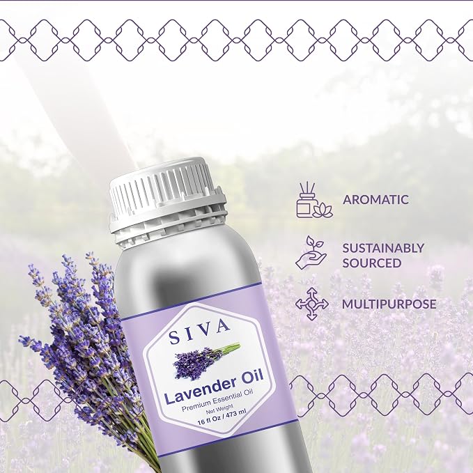 Siva Lavender Essential Oil, Huge Bottle, Large Size, 16 Fl Oz (473 ml) | Lavender Oil for Diffuser, Humidifier, Linen Spray, Skin Care, Hair Care, Body Massage, Soap, Candle, Bath Salt & DIY Blends