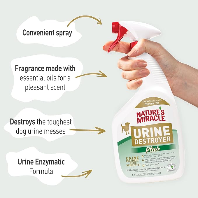 Nature's Miracle Urine Destroyer Plus for Dogs, Enzymatic Formula for Severe Dog Urine Stains, 32 oz