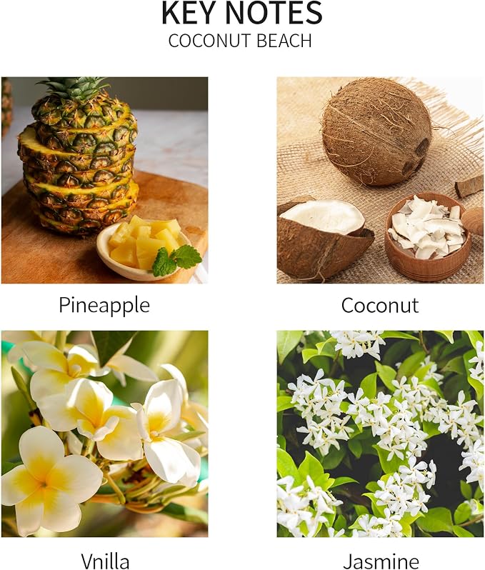 Reed Diffuser Set, 3.38 fl oz (100 ml) - Coconut Beach Oil Diffusers with 8 Reed Sticks, Home Fragrance Reed Diffuser for Bathroom Shelf Decor