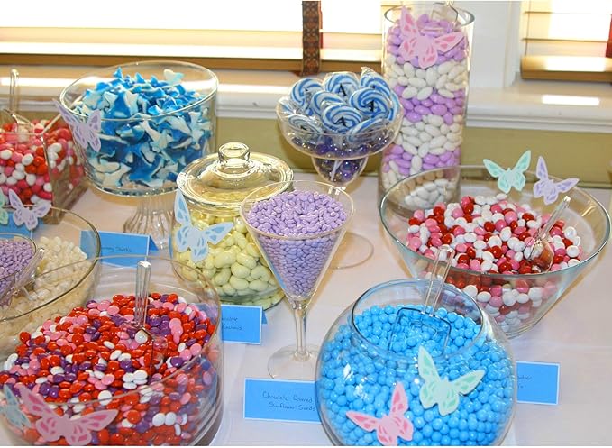 Clear Plastic Acrylic Scoops 24 Pcs | 6.5” Medium Kitchen Scoop | Wedding Desserts | Candy Buffet, Ice Cream, Protein Powders, Coffee, Tea, Flour (24 Pack, 6.5")