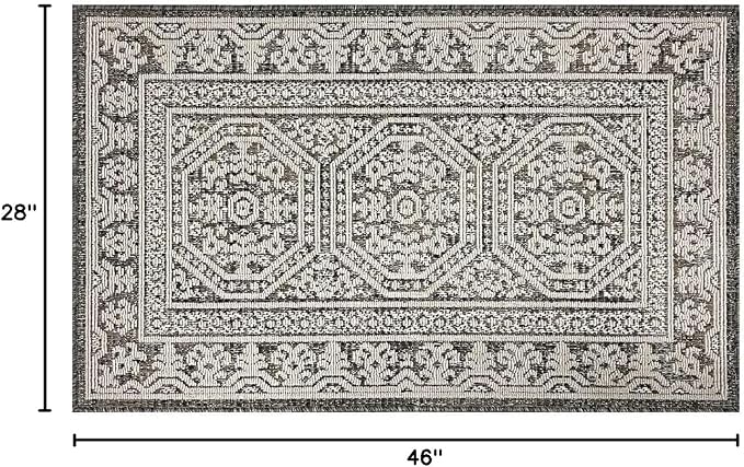 Pilgrim Home and Hearth 19653-1 Area Rugs, 46" x 28", Beautiful