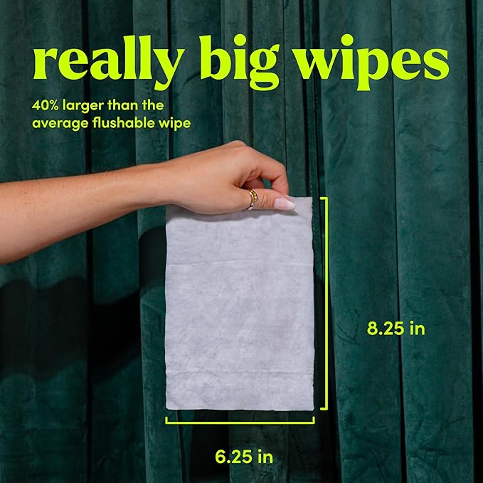 goodwipes Flushable Wipes - Individually Wrapped Butt Wipe for On-the-Go Adults - Portable Mini Wipes - Travel Essentials - Sewer & Septic Safe - Cedar, 32 Count (1 Pack)