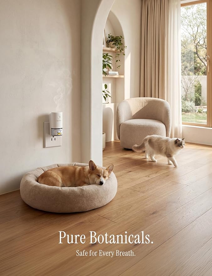 Plug-in Air Freshener for Home, Waterless Essential Oil Diffuser for Bedroom and Bathroom, Non-Toxic Formula for Pets and Nursery, 120 Days Runtime, Refillable Australian Sandalwood(Gray)