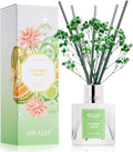 Reed Diffuser Set,3.38 fl oz (100 ml) - Cucumber Melon Oil Diffusers with 8 Reed Sticks, Home Fragrance Reed Diffuser for Bathroom Shelf Decor