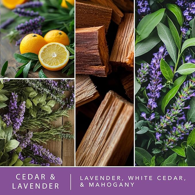 ScentSationals Cedar & Lavender Water-Based Reed Diffuser - 5 FL OZ | Lavender, White Cedar, & Mahogany Scented Aromatherapy Reed Diffuser