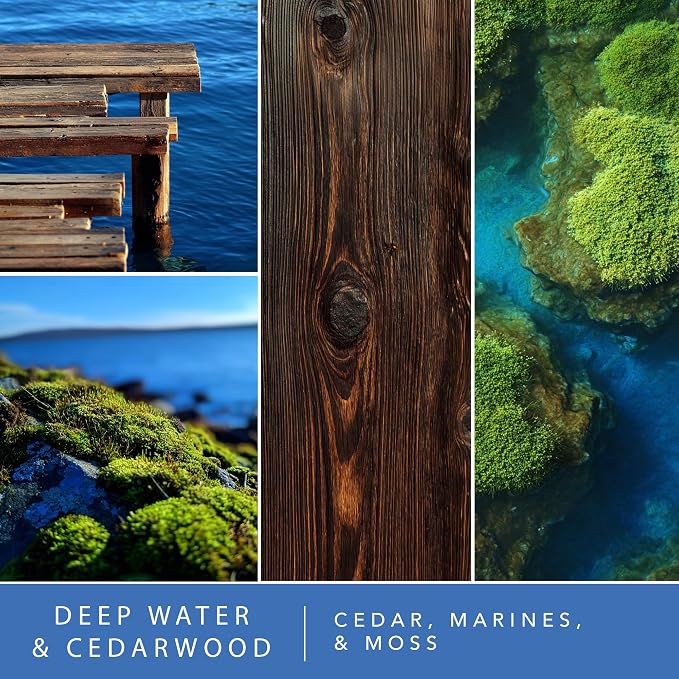 ScentSationals Deep Water & Cedarwood Water-Based Reed Diffuser - 5 FL OZ | Cedar, Marines, & Moss Scented Aromatherapy Reed Diffuser