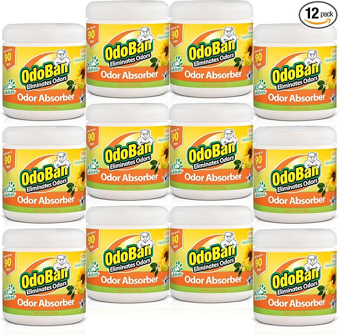 OdoBan Solid Odor Absorber Eliminator for Home and Small Spaces, Citrus Scent, 14 Ounces Each, 12-Pack