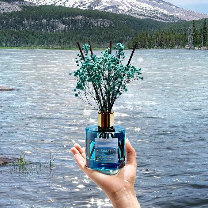 Reed Diffuser - Lake Tahoe 6.7 Fl.oz Reed Diffuser Set with 8 Sticks & Preserved Baby's Breath, Reed Diffuser for Home Bathroom Shelf Decor