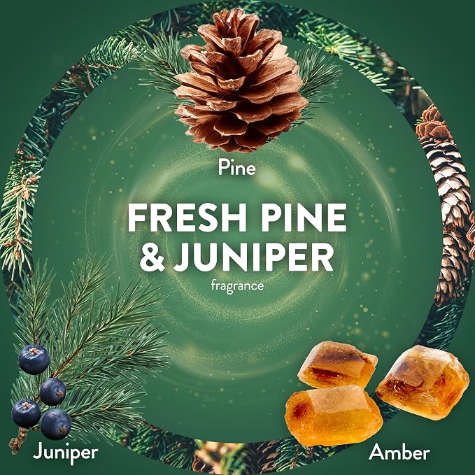 Air Wick Plug-In Scented Oil Refills, 4 Count, Fresh Pine and Juniper, Air Freshener, Essential Oils, Eco Friendly